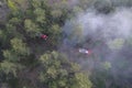 Forest and field fire. Burning of dry grass, natural disaster. Aerial view.