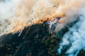 Forest and field fire with smoke aerial view, burning dry grass and trees, natural disaster