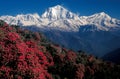 Mt. Dhaulagiri Range as seen from Ghorepani, Nepal