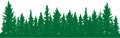 Forest of fir trees silhouette. Park alley of evergreen wood. Coniferous spruce.