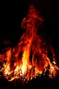 Forest fire Royalty Free Stock Photo