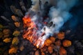 Forest fire, aerial shot. Open fire and smoke above the trees Royalty Free Stock Photo