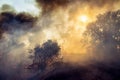Forest fire, nature disaster Royalty Free Stock Photo
