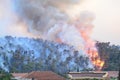 Forest fire. Burned trees after wildfire, pollution and a lot of smoke