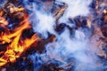 Forest fire burning. Close up of wildfire and smoke background Royalty Free Stock Photo