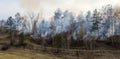 forest fire, burning forest Royalty Free Stock Photo