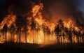 Forest fire burning out of control - AI Generated Royalty Free Stock Photo