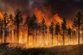 Forest fire burning out of control - AI Generated Royalty Free Stock Photo