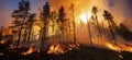 Forest fire burning out of control - AI Generated Royalty Free Stock Photo