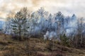forest fire, burning forest Royalty Free Stock Photo