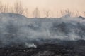 Forest fire burning, Wildfire close up at day time Royalty Free Stock Photo