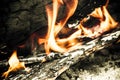 Forest fire burns in the woods Royalty Free Stock Photo