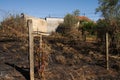 Forest fire burnt ground up to small village homes - Pedrogao Grande