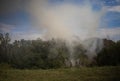 Forest fire. Burnt trees after forest fires, pollution and a lot of smoke