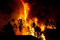 Forest Fire close to a house Royalty Free Stock Photo
