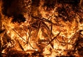 Forest Fire (Close View) Royalty Free Stock Photo