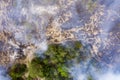 Forest fire in the coniferous forest, aerial view. The human factor that caused the disaster. Shooting from the drone