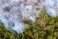 Forest fire in the coniferous forest, aerial view. The human factor that caused the disaster. Shooting from the drone