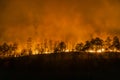 Forest fire disaster  burning caused by humans Royalty Free Stock Photo