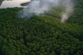 Forest fire. Dry undergrowth with burning gray smoke in the air, natural disaster. Aerial view. Royalty Free Stock Photo