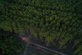 Forest fire. Dry undergrowth with burning gray smoke in the air, natural disaster. Aerial view. Royalty Free Stock Photo