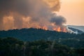 Forest fire emits smoke, casting ominous veil over trees