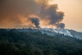 Forest fire emits smoke, casting ominous veil over trees