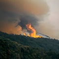 Forest fire emits smoke, casting ominous veil over trees