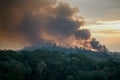 Forest fire emits smoke, casting ominous veil over trees