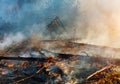 Forest fire. fallen tree is burned to the ground a lot of smoke when vildfire. Royalty Free Stock Photo