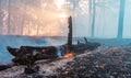 Forest fire. fallen tree is burned to the ground a lot of smoke when vildfire. Royalty Free Stock Photo