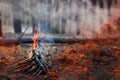 Forest fire. fallen tree is burned to the ground a lot of smoke when vildfire. Space for text Royalty Free Stock Photo