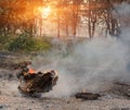 Forest fire. fallen tree is burned to the ground a lot of smoke when wildfire Royalty Free Stock Photo