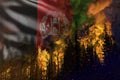 Forest fire natural disaster concept - flaming fire in the woods on Afghanistan flag background - 3D illustration of nature