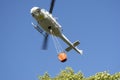 Forest fire fighting helicopter in action