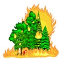Forest Fire, fire in forest landscape damage, nature ecology disaster, hot burning trees, danger forest fire flame with