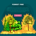 Forest Fire, fire in forest landscape damage, nature ecology disaster, hot burning trees, danger forest fire flame with