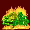 Forest Fire, fire in forest landscape damage, nature ecology disaster, hot burning trees, danger forest fire flame with Royalty Free Stock Photo