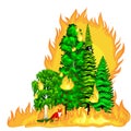 Forest Fire, fire in forest landscape damage, nature ecology disaster, hot burning trees, danger forest fire flame with