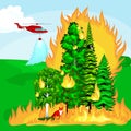 Forest Fire, fire in forest landscape damage, nature ecology disaster, hot burning trees, danger forest fire flame with Royalty Free Stock Photo