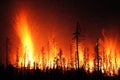 Forest fire. Forest fire in progress. Wildfire. Large flames of forest fire. Incendio forestal. Canada