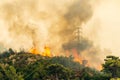 Forest fire in Hisaronu neighbourhood of Marmaris resort town in Turkey