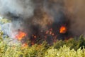 Forest fire in Hisaronu neighbourhood of Marmaris resort town in Turkey