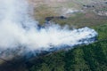 Forest fire in hot summer day, burning dry grass and trees on field, aerial view Royalty Free Stock Photo