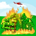 Forest Fire Royalty Free Stock Photo