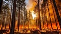 Forest fire many acres of pine trees burn down during. Generative AI.