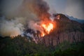 Forest fire in the mountains