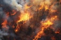 Forest fire, natural disaster, climate change, global warming, arial view