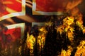 Forest fire natural disaster concept - heavy fire in the trees on Norway flag background - 3D illustration of nature