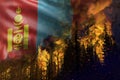 Forest fire natural disaster concept - infernal fire in the woods on Mongolia flag background - 3D illustration of nature